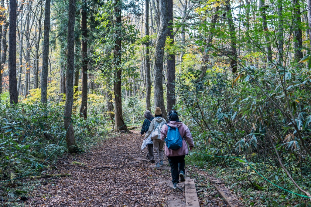 長野攝影記錄｜戶隱鏡池：秋日限定的絕美倒影，戶隱連峰與絢爛楓紅交織的夢幻風景 @偽日本人May．食遊玩樂