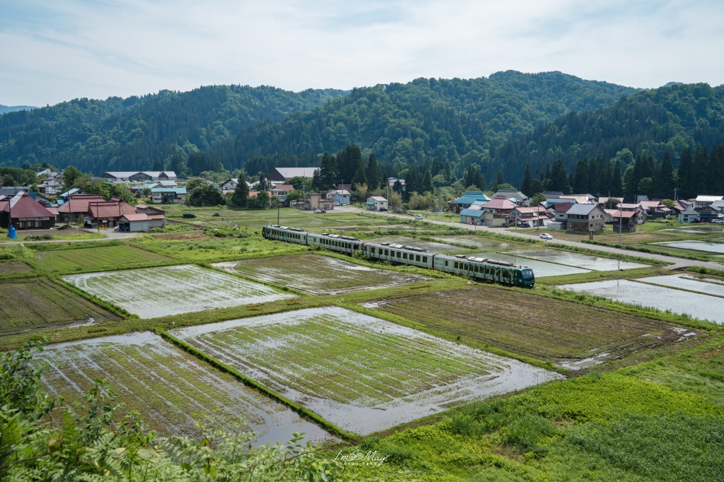 只見線初夏攝影記錄｜「Resort白神號（リゾートしらかみ 橅編成）」駛入只見線：難得一見的新綠鐵道風景 @偽日本人May．食遊玩樂