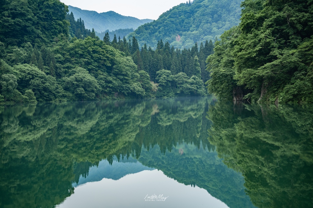 只見線初夏攝影記錄｜「Resort白神號（リゾートしらかみ 橅編成）」駛入只見線：難得一見的新綠鐵道風景 @偽日本人May．食遊玩樂