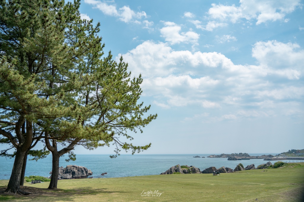 青森、八戶｜從葦毛崎展望台到種差海岸：探訪イタコマイマイ岩，遇見八戶海岸線最療癒的春末風景 @偽日本人May．食遊玩樂