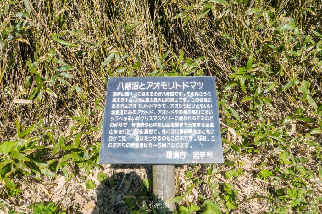 岩手攝影記錄|初夏限定的日本絕景「八幡平龍之眼」:只出現短短幾週的夢幻景色,交通、開眼時間與輕鬆步行攻略 @偽日本人May.食遊玩樂 岩手攝影記錄|初夏限定的日本絕景「八幡平龍之眼」:只出現短短幾週的夢幻景色,交通、開眼時間與輕鬆步行攻略 @偽日本人May.食遊玩樂