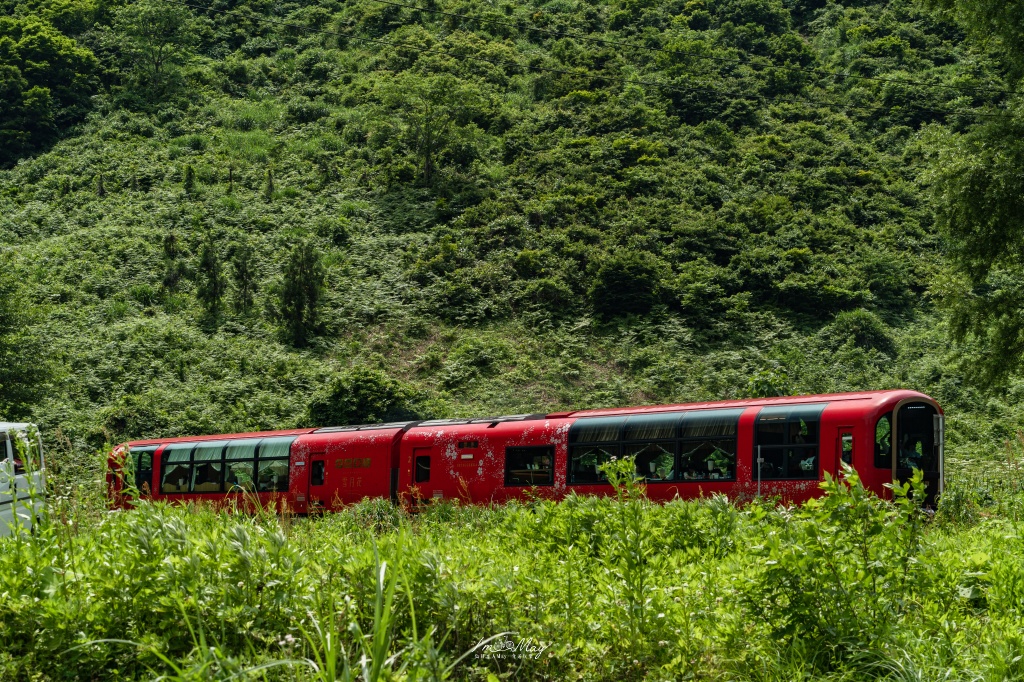 初夏只見線攝影記錄｜新潟奢華觀光列車「雪月花」首度駛入只見線，火山紅列車與初夏溪谷的夢幻相遇 @偽日本人May．食遊玩樂