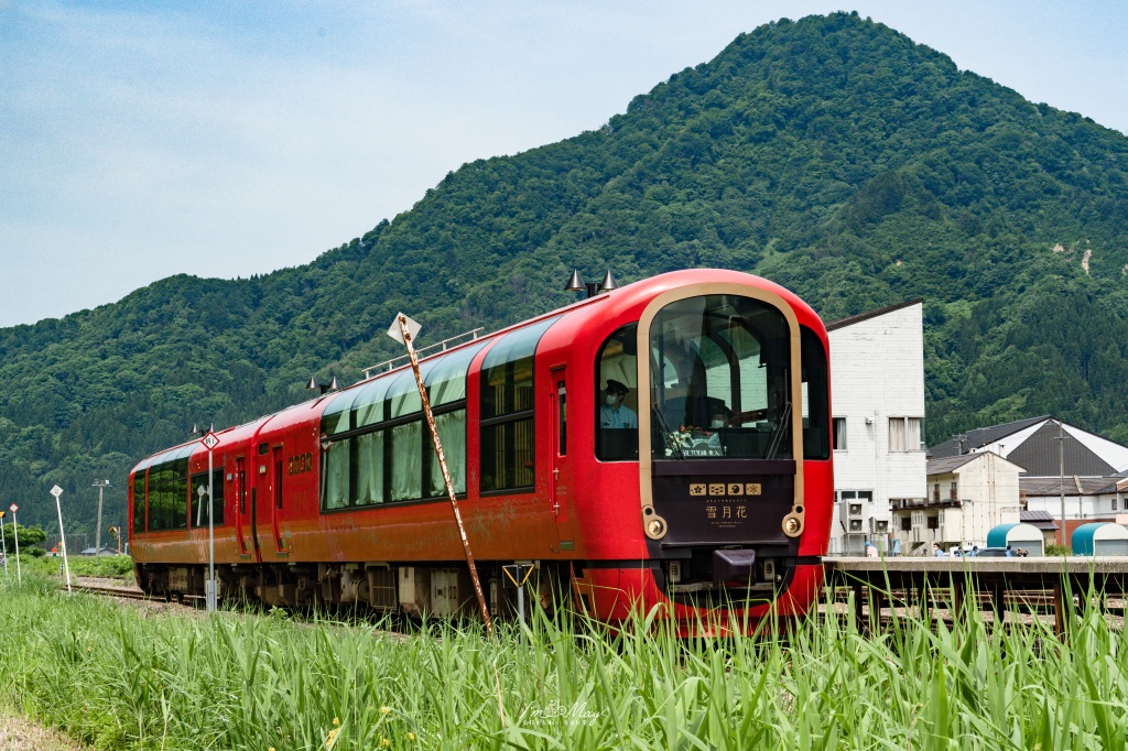初夏只見線攝影記錄｜新潟奢華觀光列車「雪月花」首度駛入只見線，火山紅列車與初夏溪谷的夢幻相遇 @偽日本人May．食遊玩樂