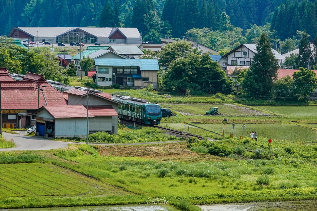 只見線初夏攝影記錄｜「Resort白神號（リゾートしらかみ 橅編成）」駛入只見線：難得一見的新綠鐵道風景 @偽日本人May．食遊玩樂