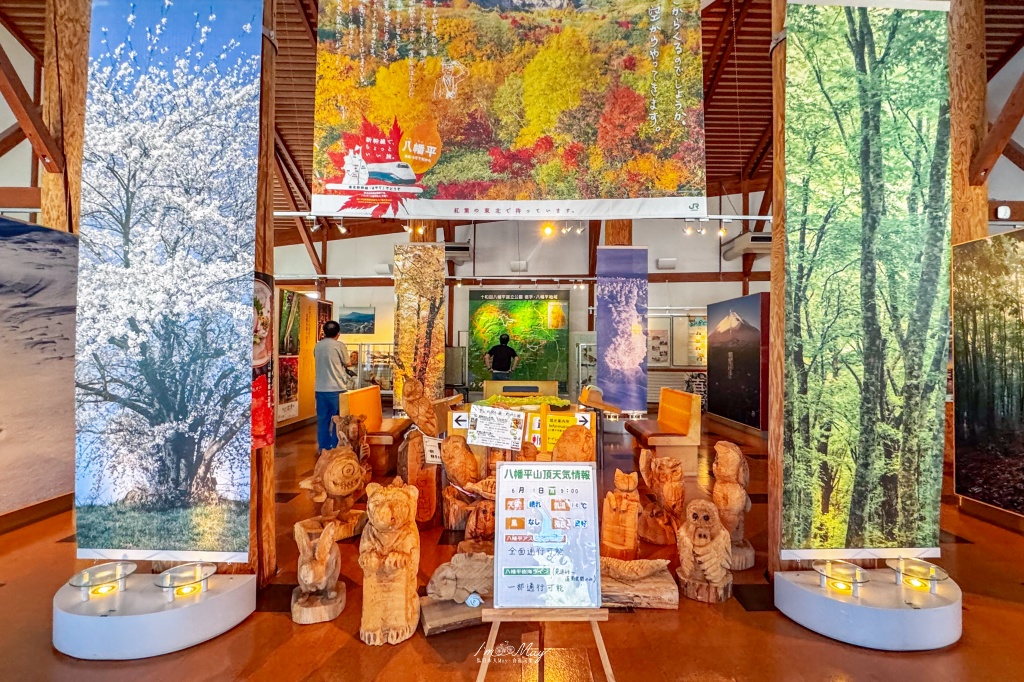 岩手攝影記錄｜初夏限定的日本絕景「八幡平龍之眼」：只出現短短幾週的夢幻景色，交通、開眼時間與輕鬆步行攻略 @偽日本人May．食遊玩樂