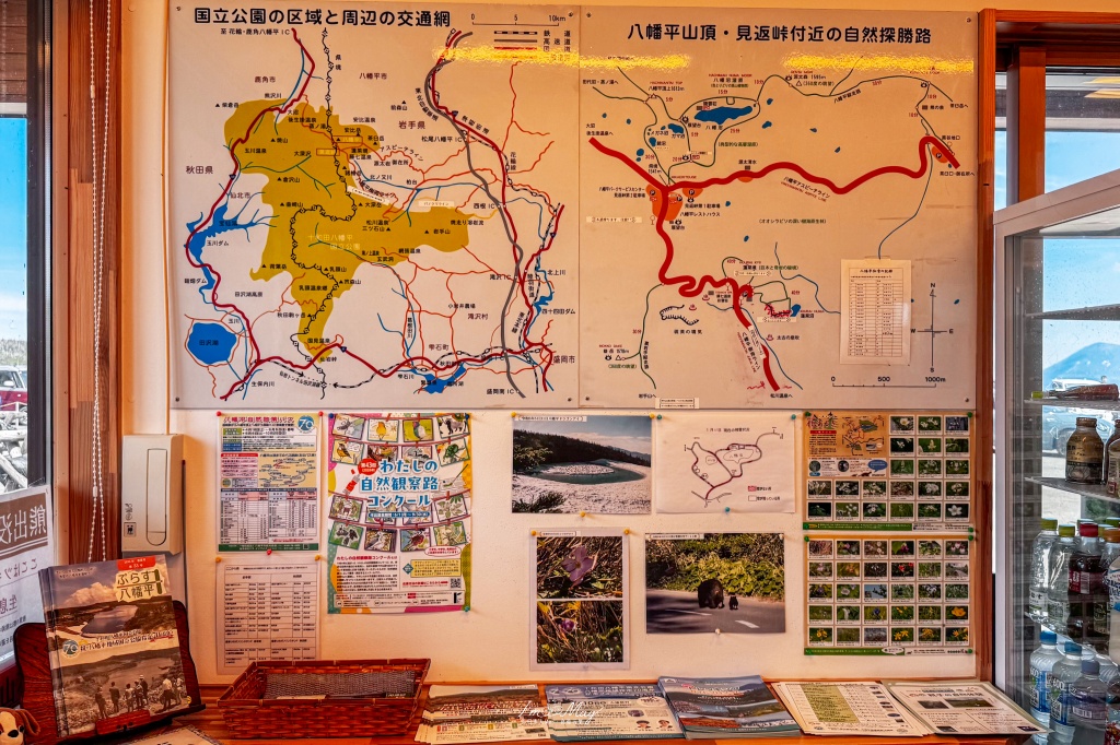 岩手攝影記錄｜初夏限定的日本絕景「八幡平龍之眼」：只出現短短幾週的夢幻景色，交通、開眼時間與輕鬆步行攻略 @偽日本人May．食遊玩樂
