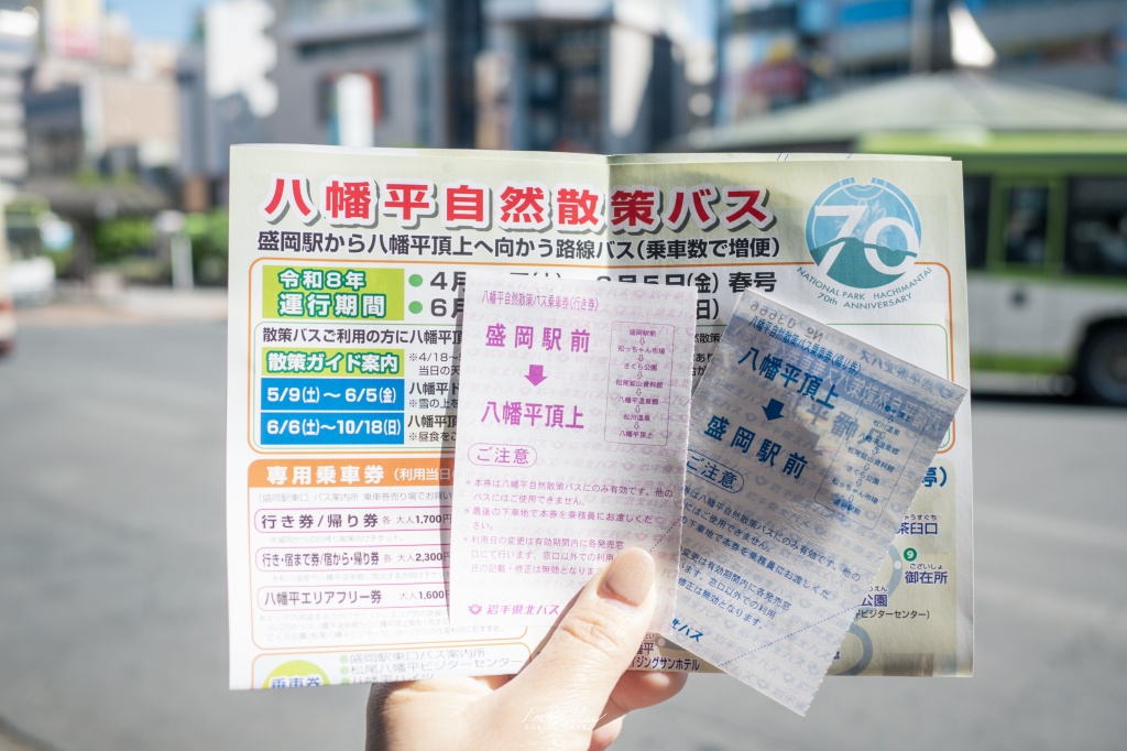 岩手攝影記錄｜初夏限定的日本絕景「八幡平龍之眼」：只出現短短幾週的夢幻景色，交通、開眼時間與輕鬆步行攻略 @偽日本人May．食遊玩樂