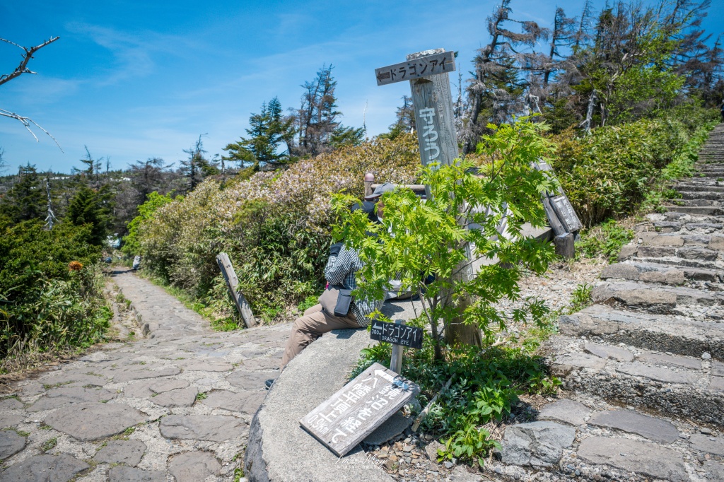 岩手攝影記錄｜初夏限定的日本絕景「八幡平龍之眼」：只出現短短幾週的夢幻景色，交通、開眼時間與輕鬆步行攻略 @偽日本人May．食遊玩樂