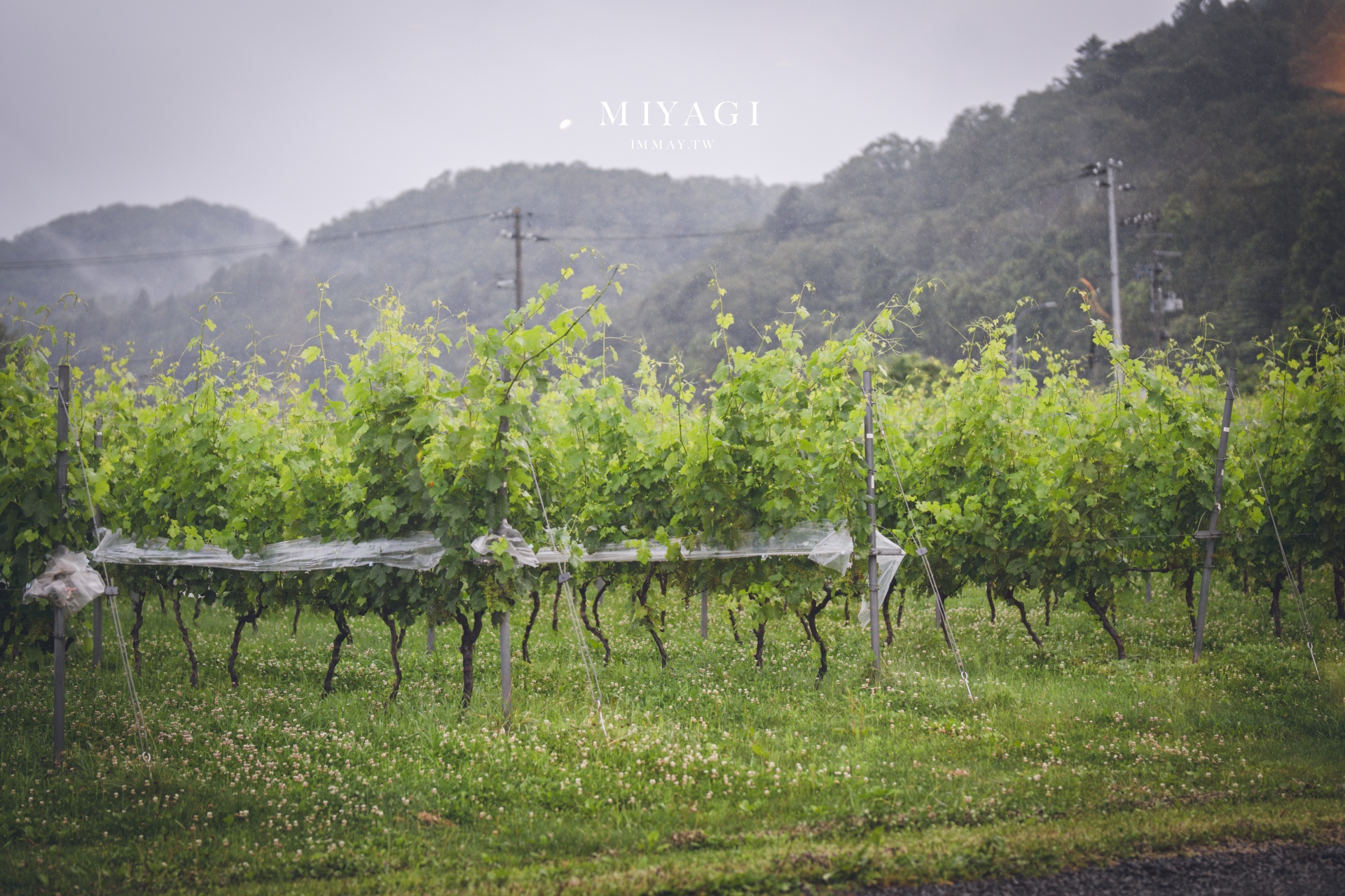 秋保溫泉美食｜Akiu Winery 秋保ワイナリー，從311震災重建到一桌宮城食材與Wine的故事 @偽日本人May．食遊玩樂