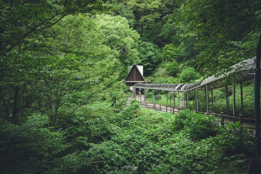 福島景點推薦｜阿武隈洞（あぶくま洞），走進地底600公尺鐘乳洞幻想世界，田村市必訪景點、福島縣唯一「戀人の聖地」 @偽日本人May．食遊玩樂