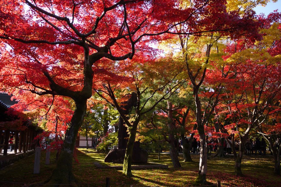 【講座分享】吉光旅遊：「傑利帶路－京都十年，四季絕美之旅」旅遊講座 @偽日本人May．食遊玩樂