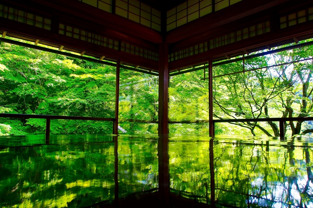 京都 、景點 | 染上初夏新綠的絕美古剎「八瀬 瑠璃光院」| 春季特別拝観、京都景點、 @偽日本人May．食遊玩樂