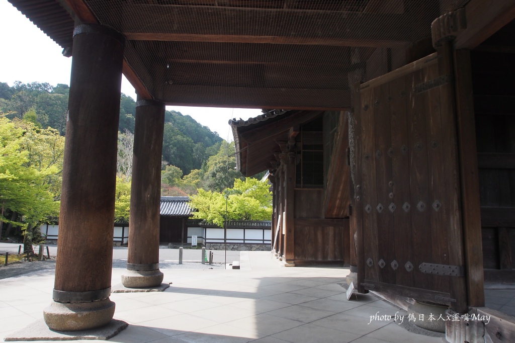 京都、景點 | 感受日本禪宗崇高美學洗禮、詩畫般的楓葉名所「南禪寺」| 夏初的新綠，如同沐浴過後的清新 @偽日本人May．食遊玩樂