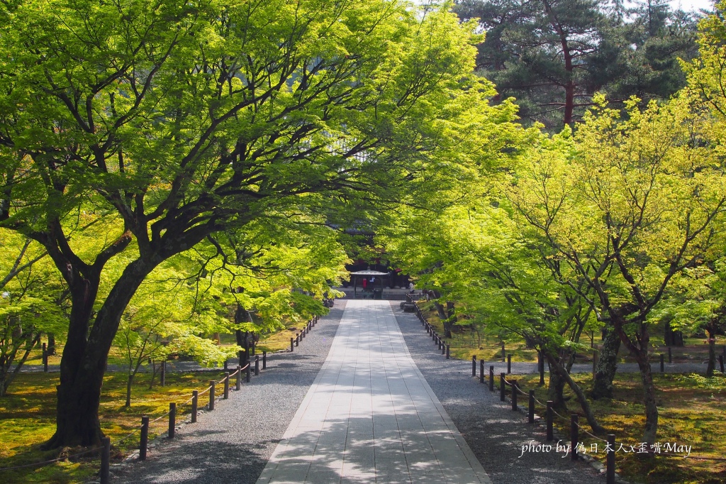 京都、景點 | 感受日本禪宗崇高美學洗禮、詩畫般的楓葉名所「南禪寺」| 夏初的新綠，如同沐浴過後的清新 @偽日本人May．食遊玩樂