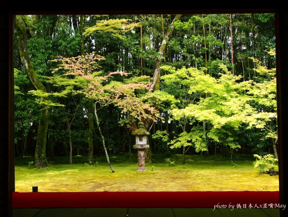 [京都] 高桐院。靜謐絕美的庭院，寂靜的原點 (京都新綠/大德寺) (2017/06/09~2018/10月底整修, 暫停開放) @偽日本人May．食遊玩樂