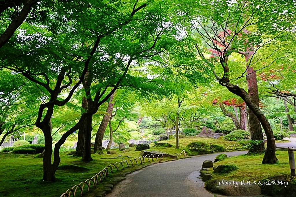 [島根] 由志園。以牡丹花聞名的迴遊式日本庭園，即使是雨天也是絕美 (大根島/人蔘) @偽日本人May．食遊玩樂