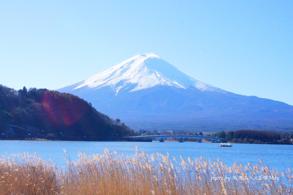 山梨攝影筆記 | 河口湖周邊之富士山拍攝點攻略 (河口湖兩天一夜行程/東京近郊旅行/不藏私分享) @偽日本人May．食遊玩樂