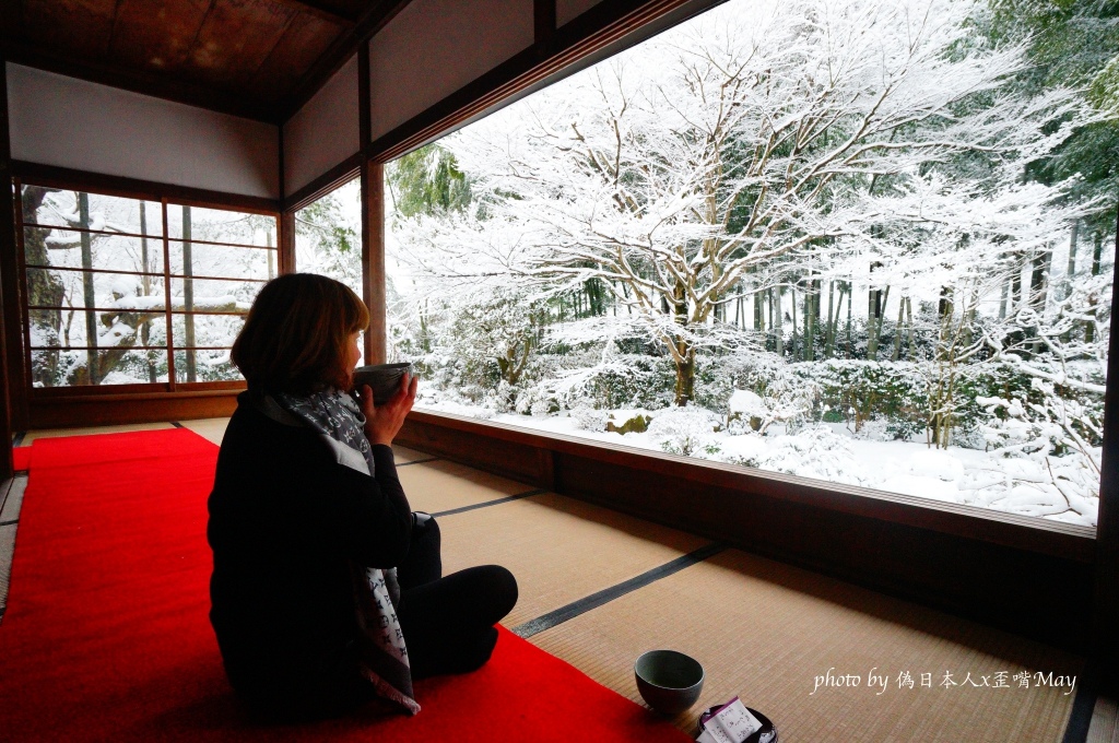 [京都] 大原 寶泉院。凝視雪白世界裡的庭園美景，與七百年樹齡的五葉松對望 (大原/血天井) @偽日本人May．食遊玩樂