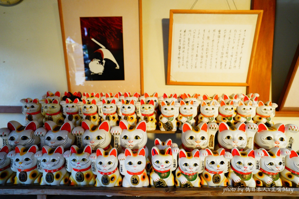 德島深度旅行 | お松大権現。日本三大怪貓傳說 x 一萬隻貓咪住在的神社 (喵星人神社/貓奴必訪/附交通方式) @偽日本人May．食遊玩樂