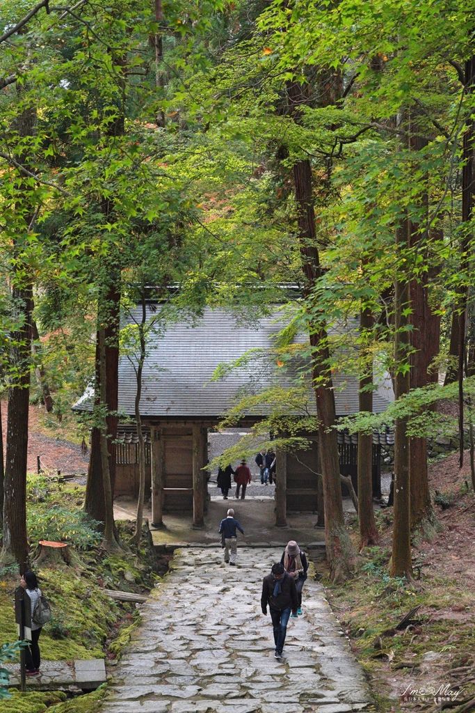 日本旅行提案 | 精選10個日本人最愛的滋賀IG打卡熱門地點 (建築美學文藝絕景之旅、附詳細交通方式、建議拍攝時間) @偽日本人May．食遊玩樂