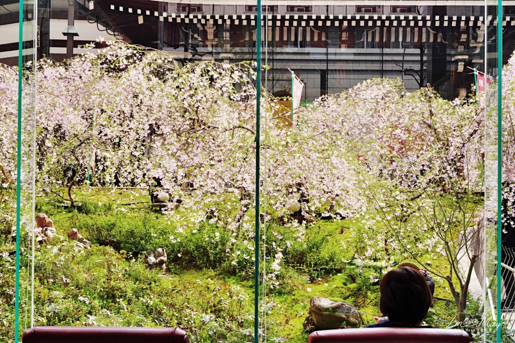 京都 | 座落水泥叢林裡的千年佛寺、京都的中心點「六角堂」| 星巴克特色概念店、有著浪漫傳說的御幸櫻、俯瞰全景地點公開 @偽日本人May．食遊玩樂